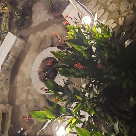Kasauli Cascade A Cheerfull 4 Bedroom Challet 外观 照片