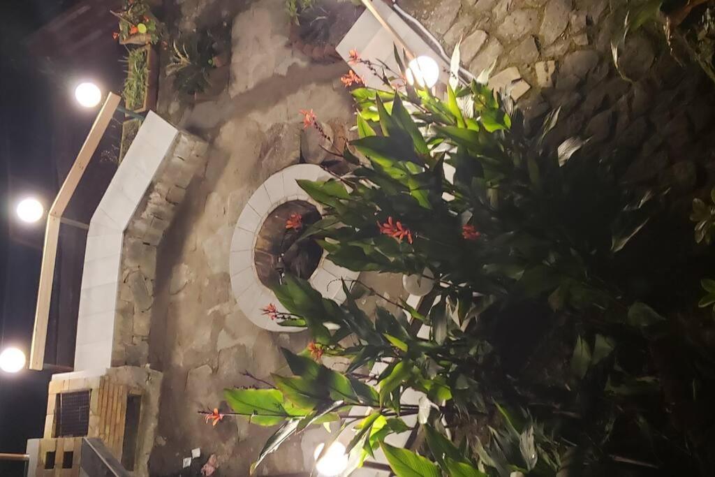 Kasauli Cascade A Cheerfull 4 Bedroom Challet 外观 照片