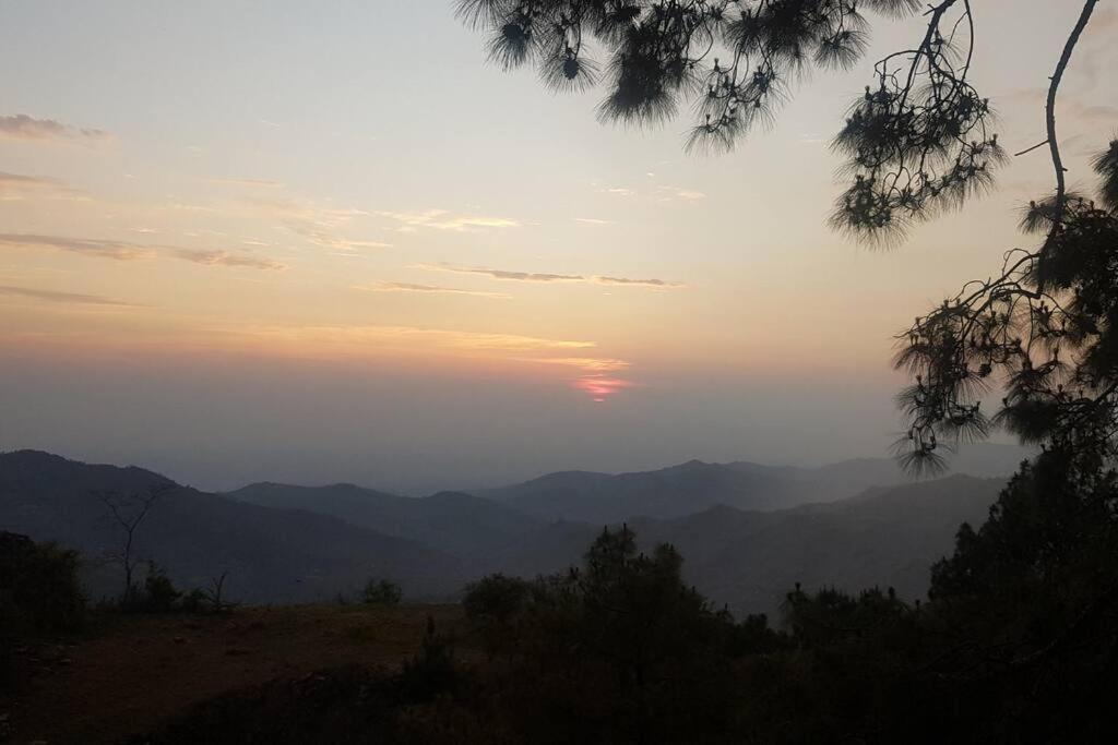 Kasauli Cascade A Cheerfull 4 Bedroom Challet 外观 照片