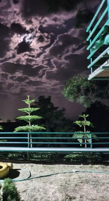 Kasauli Cascade A Cheerfull 4 Bedroom Challet 外观 照片
