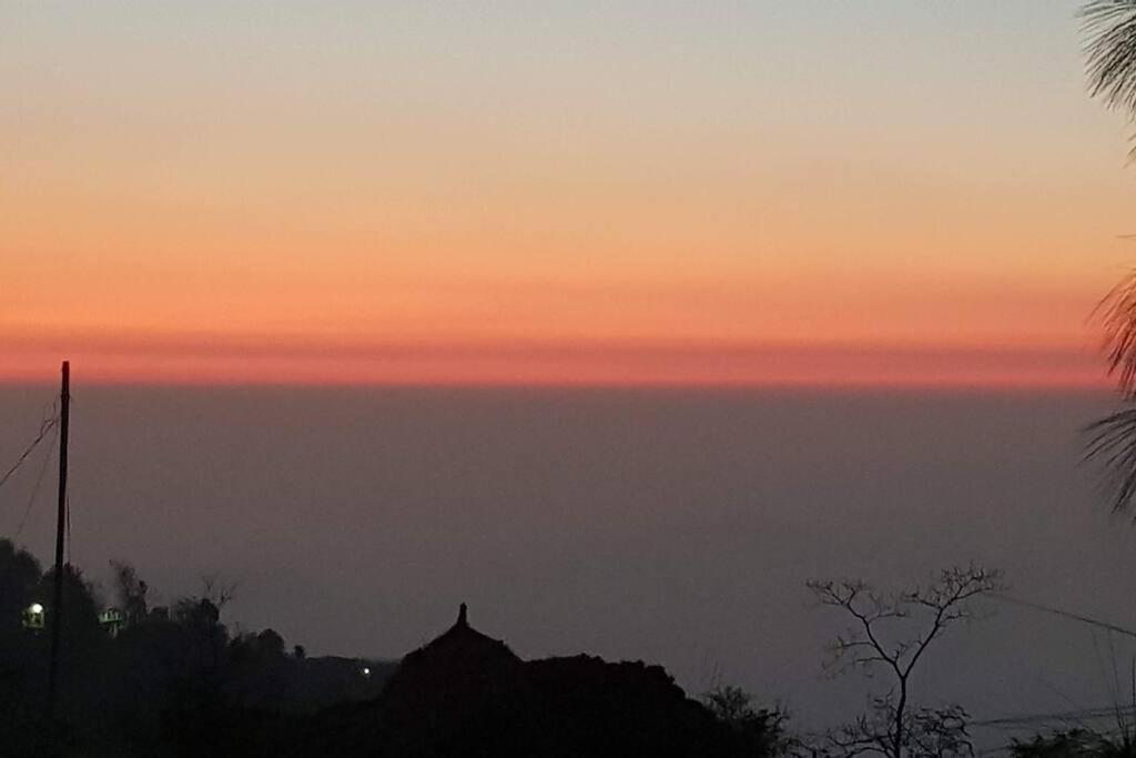 Kasauli Cascade A Cheerfull 4 Bedroom Challet 外观 照片