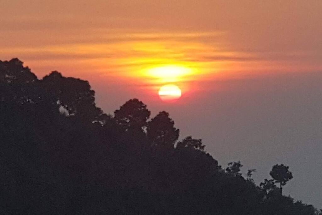 Kasauli Cascade A Cheerfull 4 Bedroom Challet 外观 照片