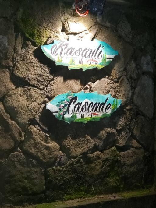 Kasauli Cascade A Cheerfull 4 Bedroom Challet 外观 照片