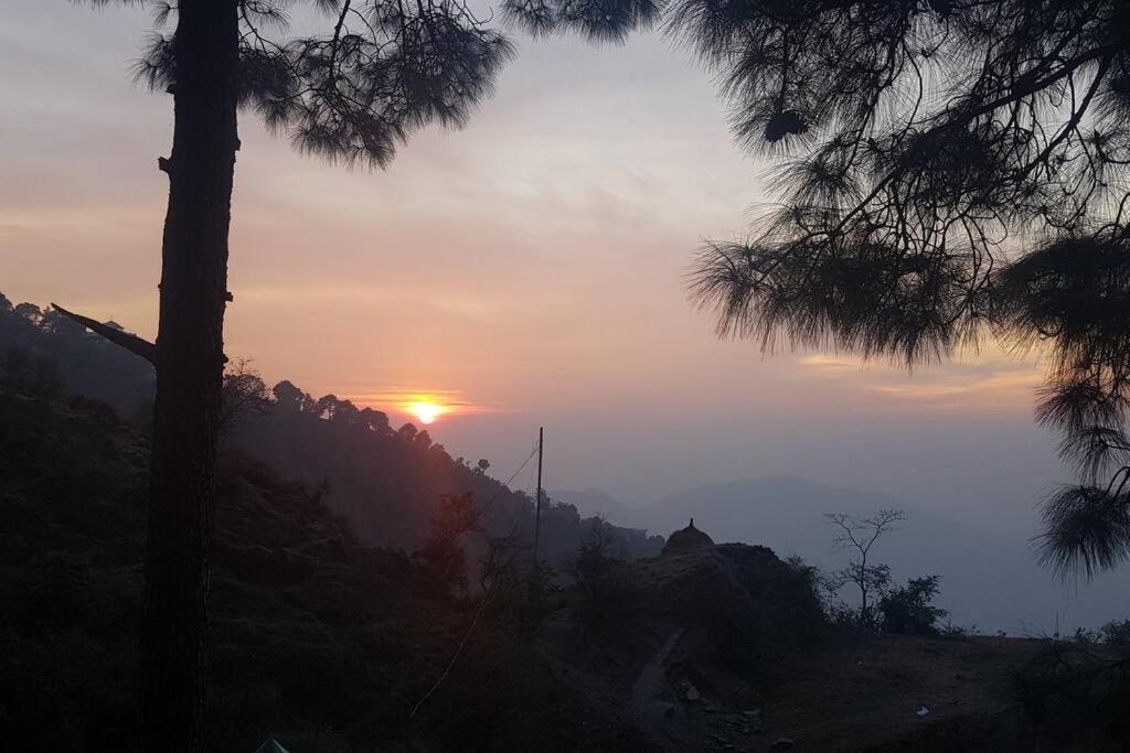Kasauli Cascade A Cheerfull 4 Bedroom Challet 外观 照片