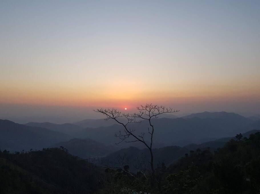 Kasauli Cascade A Cheerfull 4 Bedroom Challet 外观 照片
