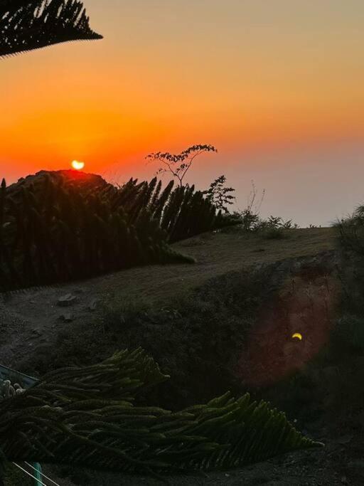 Kasauli Cascade A Cheerfull 4 Bedroom Challet 外观 照片